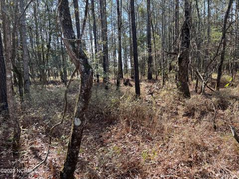 0 Sandy Rd, Scranton, NC 27875 photo 27