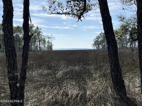 0 Sandy Rd, Scranton, NC 27875 photo 31