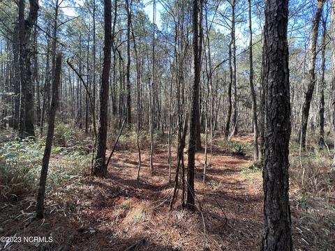 0 Sandy Rd, Scranton, NC 27875 photo 11