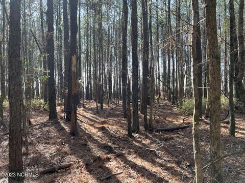 0 Sandy Rd, Scranton, NC 27875 photo 8