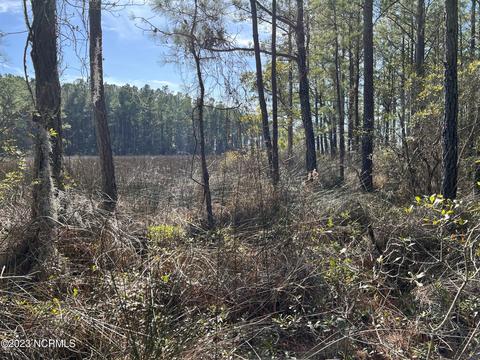 0 Sandy Rd, Scranton, NC 27875 photo 22