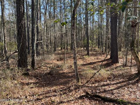 0 Sandy Rd, Scranton, NC 27875 photo 28
