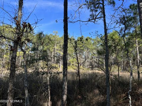 0 Sandy Rd, Scranton, NC 27875 photo 18