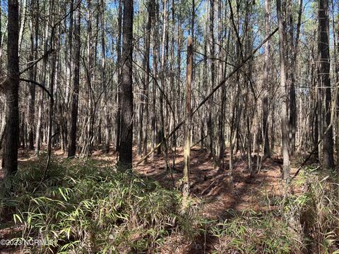 0 Sandy Rd, Scranton, NC 27875 photo 9