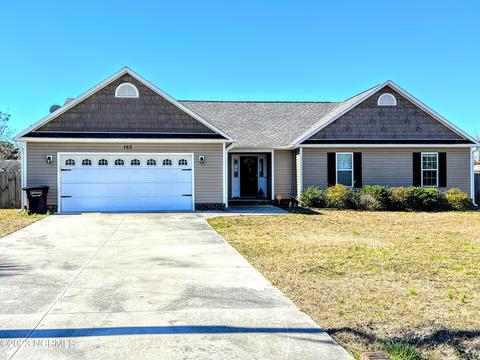 163 Riggs Rd, Hubert, NC 28539 photo 1