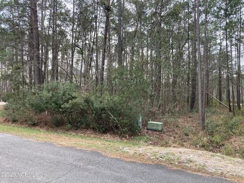 916 Bee Tree Ct, New Bern, NC 28560 photo 3