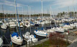 916 Bee Tree Ct, New Bern, NC 28560 photo 13