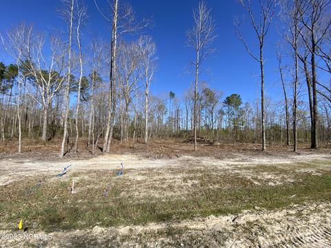 2505 Wild Turkey Rd, New Bern, NC 28562