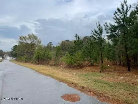 5 Chelsea Dr, Snow Hill, NC 28580