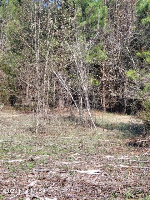 Lot 2 Momeyer Way, Momeyer, NC 27856