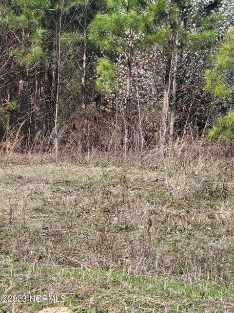 Lot 3 Momeyer Way, Momeyer, NC 27856