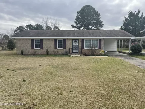 224 Fox Dr, Dudley, NC 28333 photo 1