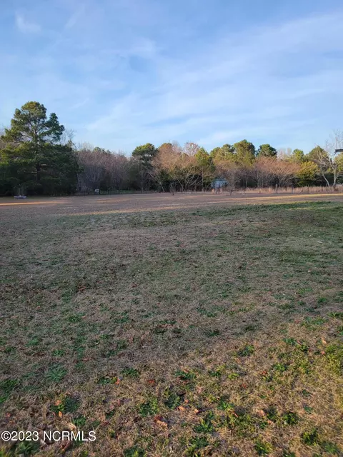 108 Meadow Ln, Hamlet, NC 28345 photo 9