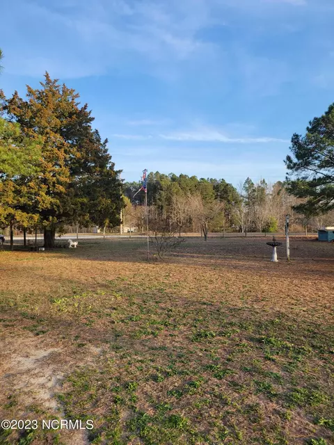 108 Meadow Ln, Hamlet, NC 28345 photo 24
