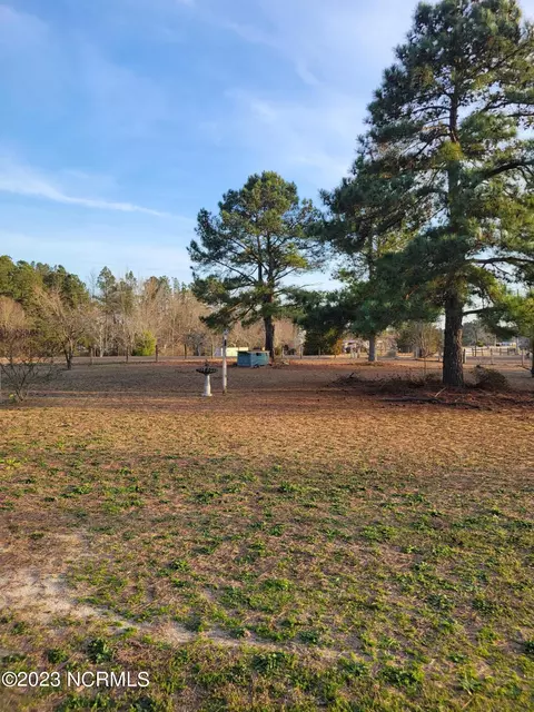 108 Meadow Ln, Hamlet, NC 28345 photo 25
