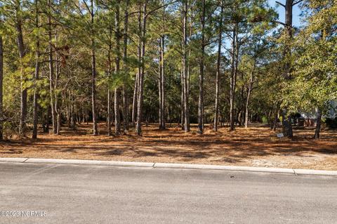 683 Parish Dr SW, Supply, NC 28462