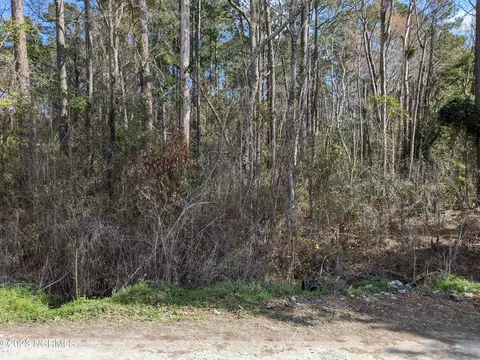 114 Hunter Ct, Rocky Point, NC 28457
