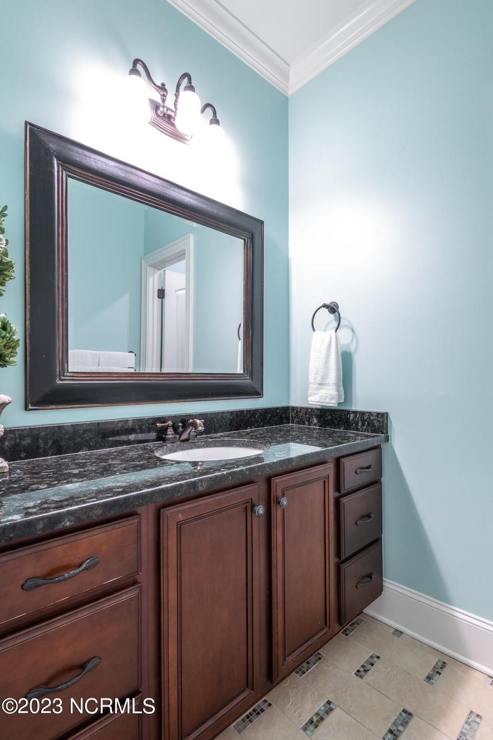  532 Westminster Cir, Greenville, NC 27858 photo 75