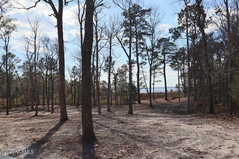 401 Elizabeth Rd, Arapahoe, NC 28510