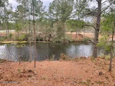 216 Spring Branch Dr, Harrells, NC 28444