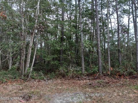 2668 Nags Head Rd SW, Supply, NC 28462