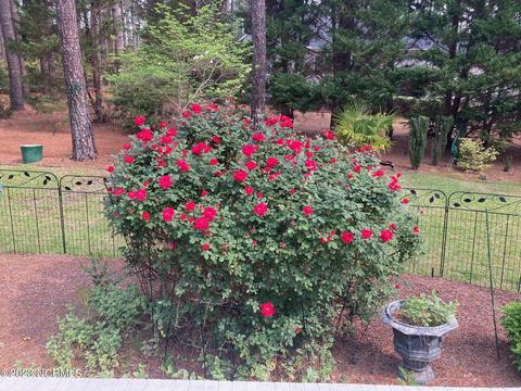 10 Kinbuck Ct, Pinehurst, NC 28374 photo 46