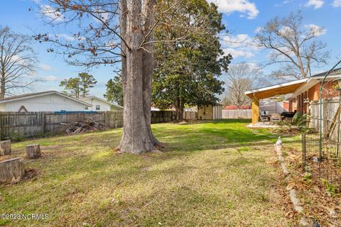 1007 Ormandy Ave, Jacksonville, NC 28546 photo 34