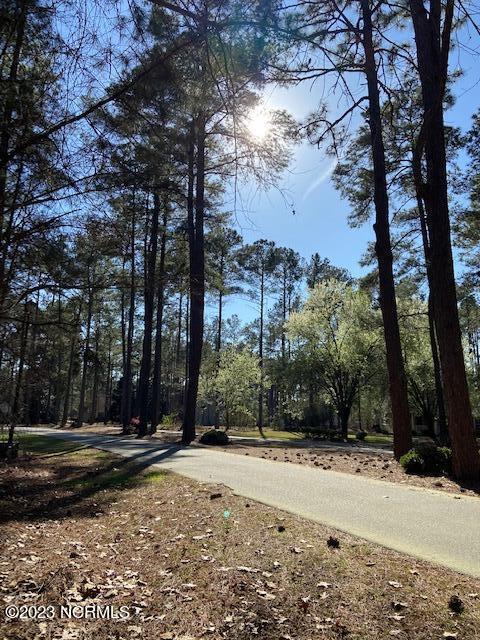 30 Deercroft Rd, Wagram, NC 28396 photo 3
