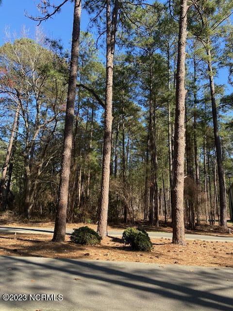 30 Deercroft Rd, Wagram, NC 28396 photo 5
