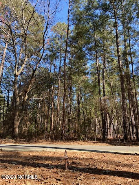 30 Deercroft Rd, Wagram, NC 28396 photo 4
