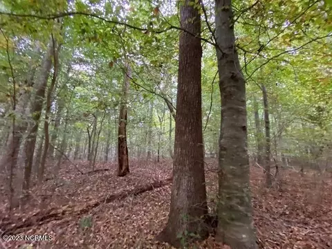 N/a Mackeys Road, Roper, NC 27970