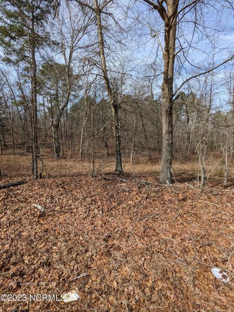 4 Carthage Rd, West End, NC 27376