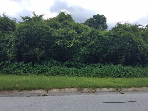 lot15 Wardola Dr, Jacksonville, NC 28540
