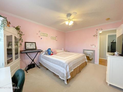 116 Mulberry Cir, Hampstead, NC 28443 photo 33