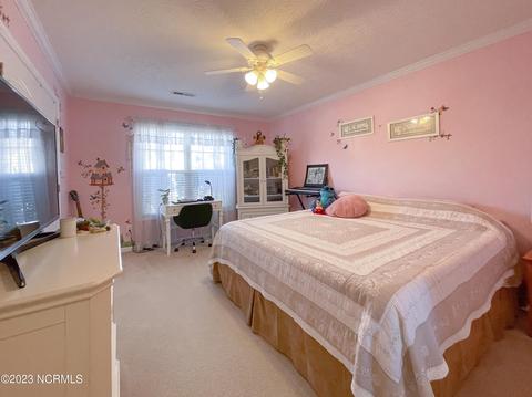 116 Mulberry Cir, Hampstead, NC 28443 photo 34