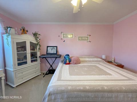 116 Mulberry Cir, Hampstead, NC 28443 photo 35