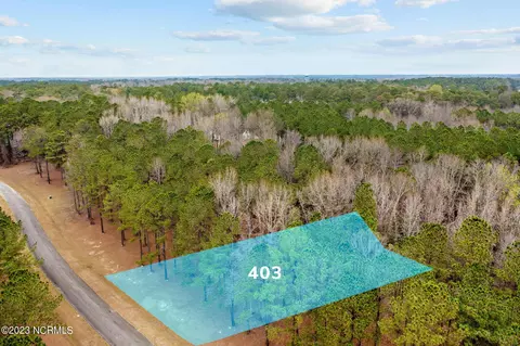 403 Anna Ln, Snow Hill, NC 28580