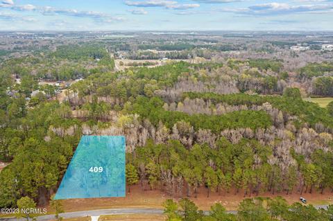 409 Anna Ln, Snow Hill, NC 28580
