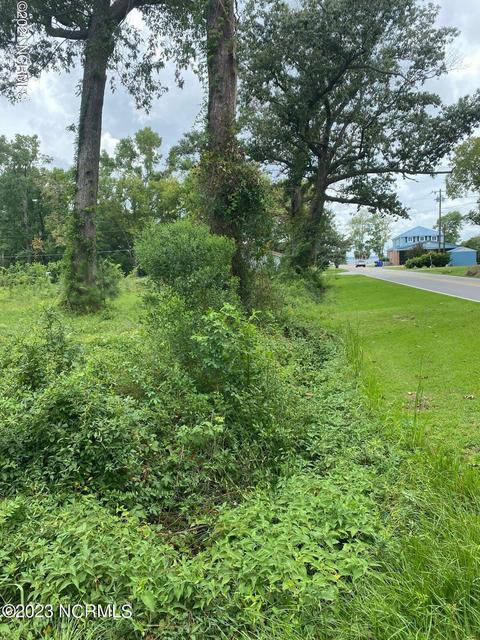 1305 Bartram Lane, Lake Waccamaw, NC 28450