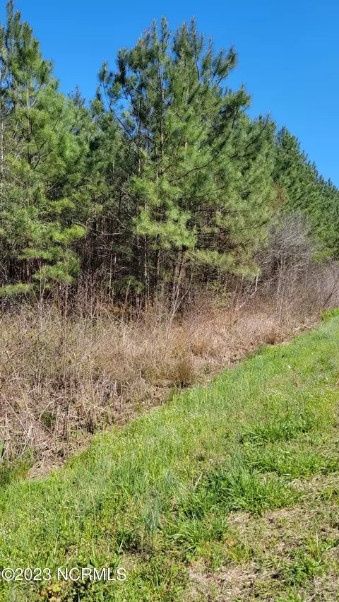 87 N C 87 Hwy E, Riegelwood, NC 28456
