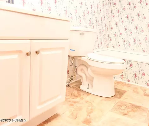 408 Nelson St, Mount Olive, NC 28365 photo 21