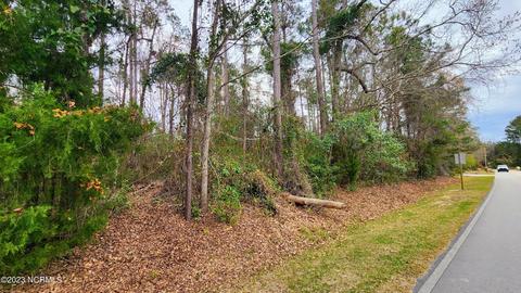 133 White Oak Bluff Rd, Stella, NC 28582 photo 6
