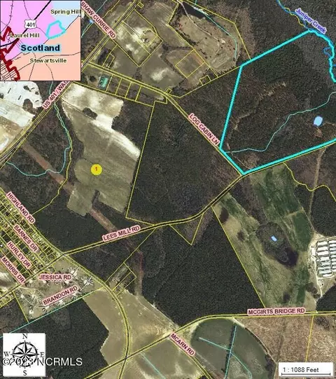 Tr 4 Wagram Road, Laurel Hill, NC 28351