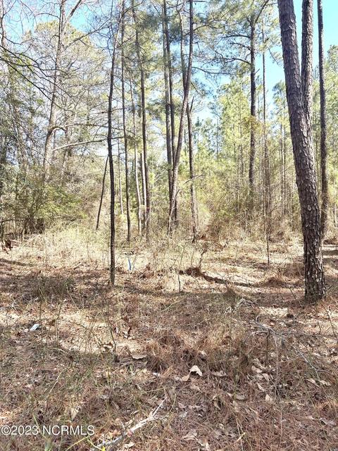 tbd Niagara Carthage Lot 1 Rd, Whispering Pines, NC 28327