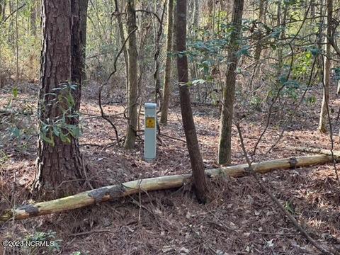 110 Old Salem Dr, Kinston, NC 28504