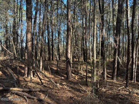 112 Old Salem Dr, Kinston, NC 28504