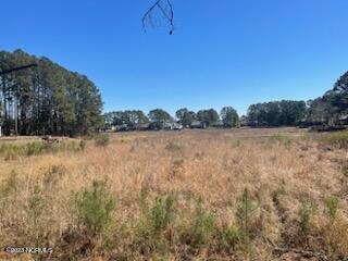 791 Daphne Ln, Vass, NC 28394