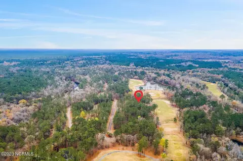 136 Riverstone Run Dr, Wallace, NC 28466 photo 20