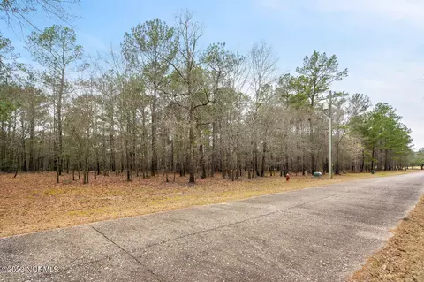 136 Riverstone Run Dr, Wallace, NC 28466 photo 8