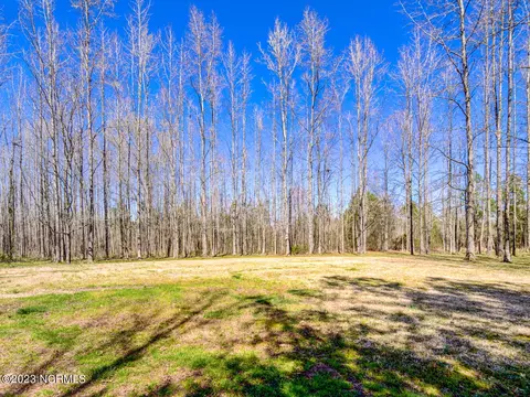 319 Tuggie Eure Rd, Eure, NC 27935 photo 29